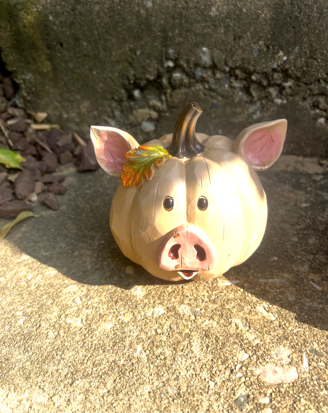 Cow and Pig Pumpkin Set of 2 PREORDER ONLY