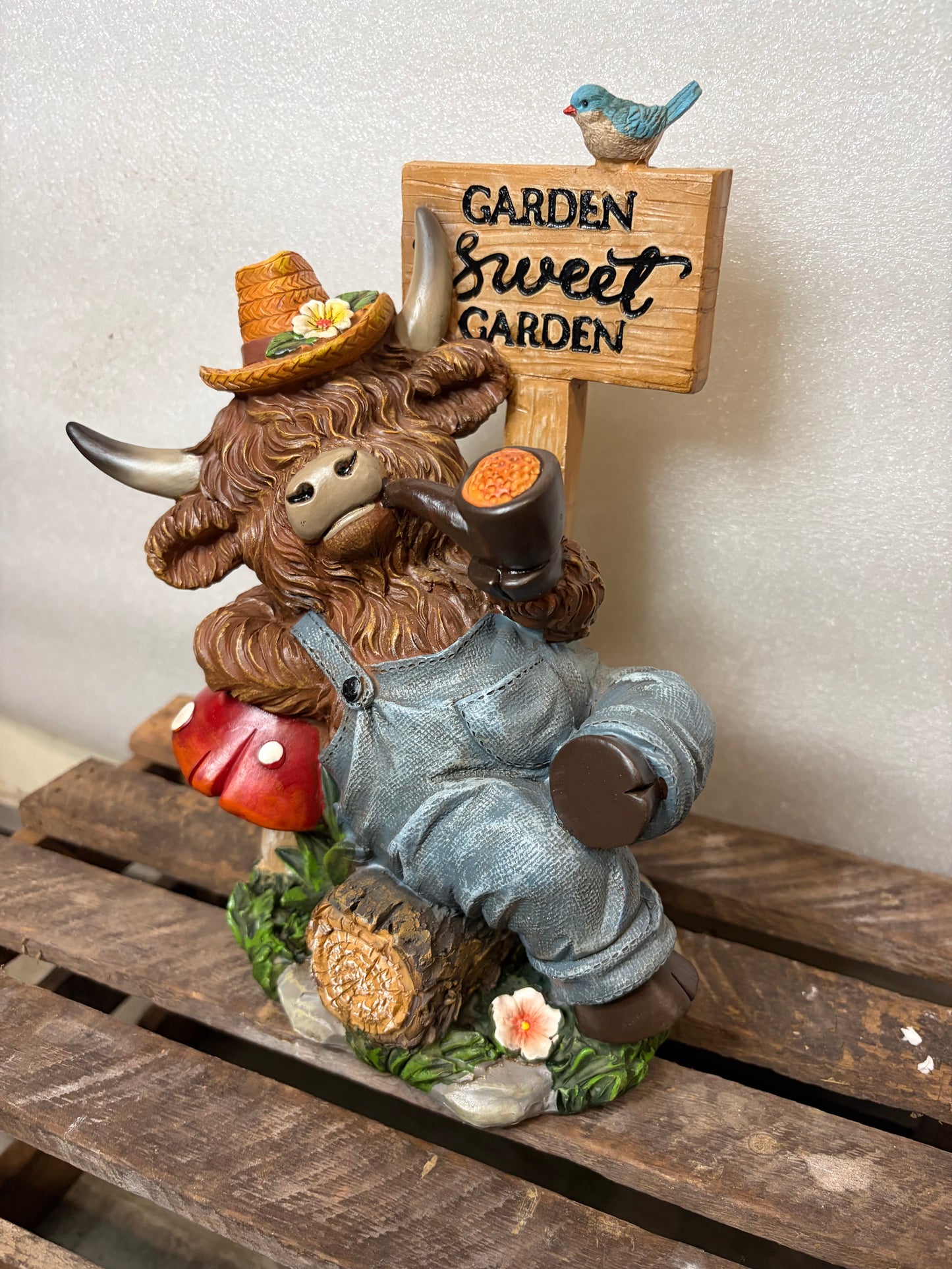 Smoking Pipe Highland Cow