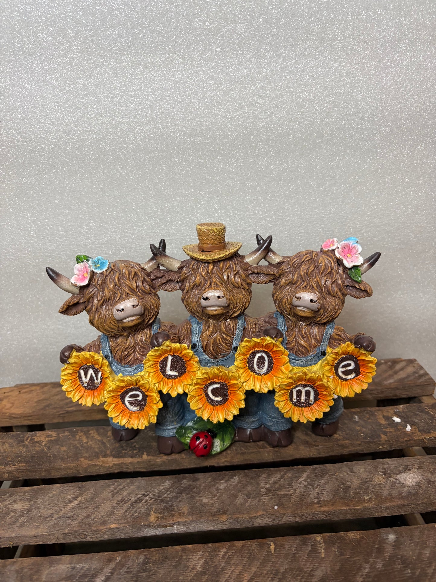 Welcome Highland Cow Sunflower Holding Sign IN STOCK