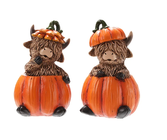 Fall IN STOCK AND PREORDER