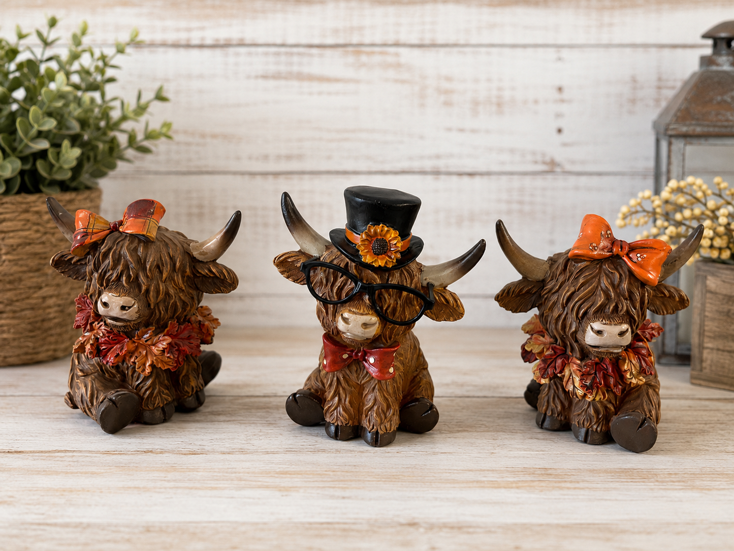 IN STOCK SET OF 3 Fall Highland Cows