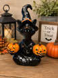 BLACK CAT WITH PUMPKINS