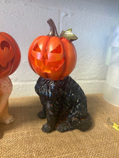 Set of 2 Halloween DOG Figurines w/ Jack-O-Lantern Pumpkin Heads Freestanding