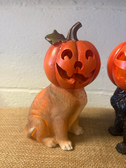 Set of 2 Halloween DOG Figurines w/ Jack-O-Lantern Pumpkin Heads Freestanding