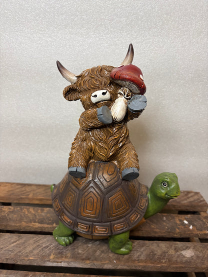 Highland Cow on a Turtle