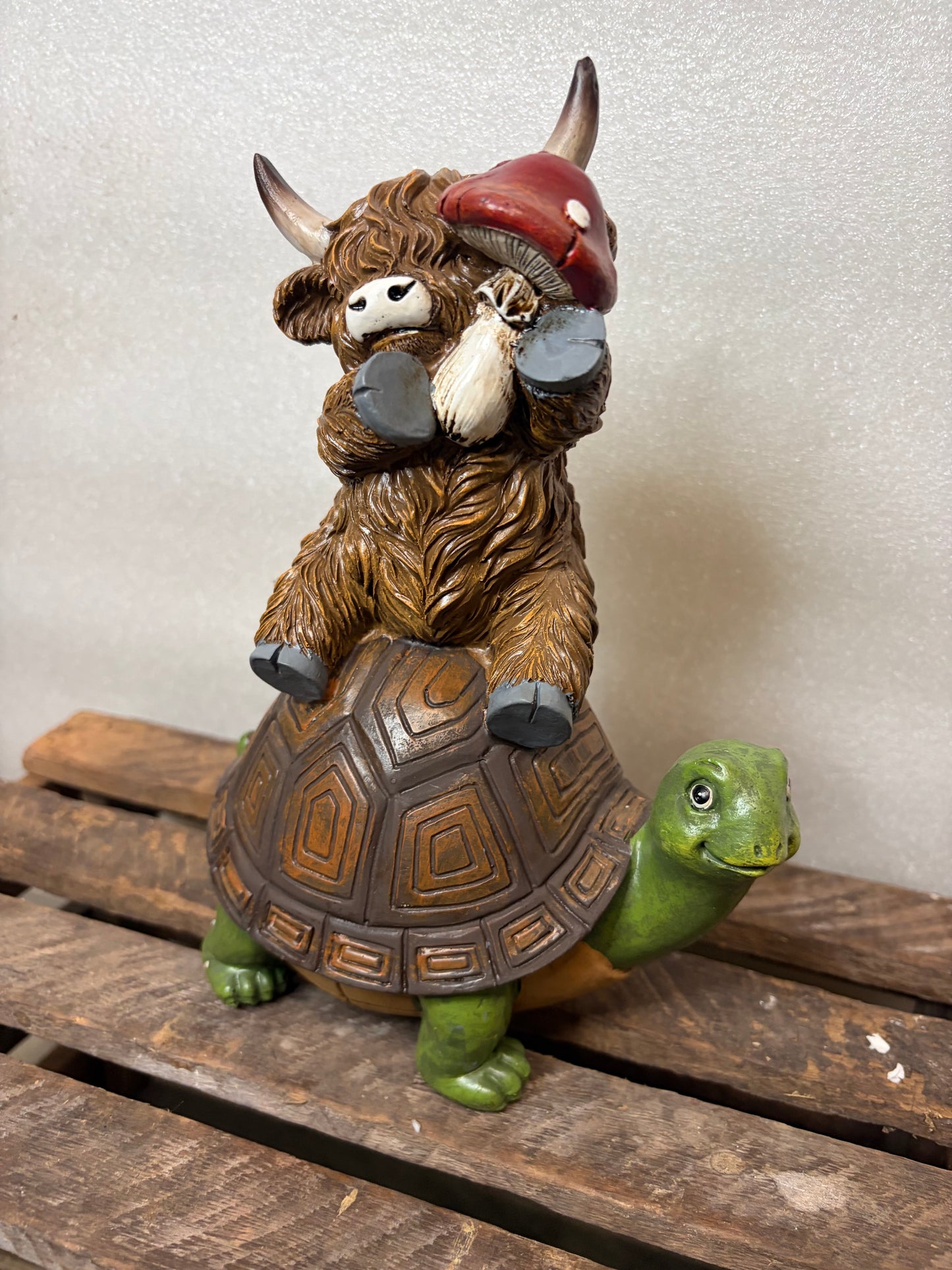 Highland Cow on a Turtle