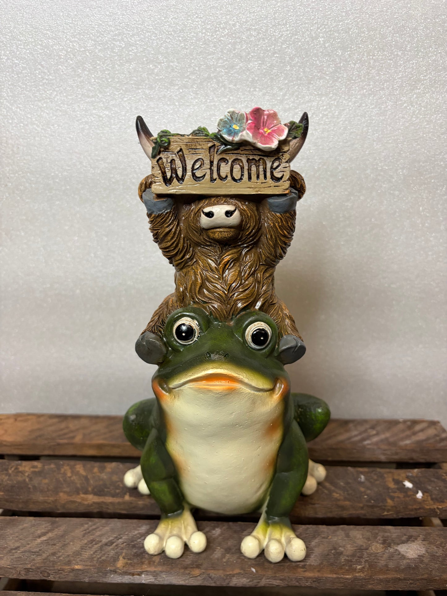 Highland Cow on a Frog