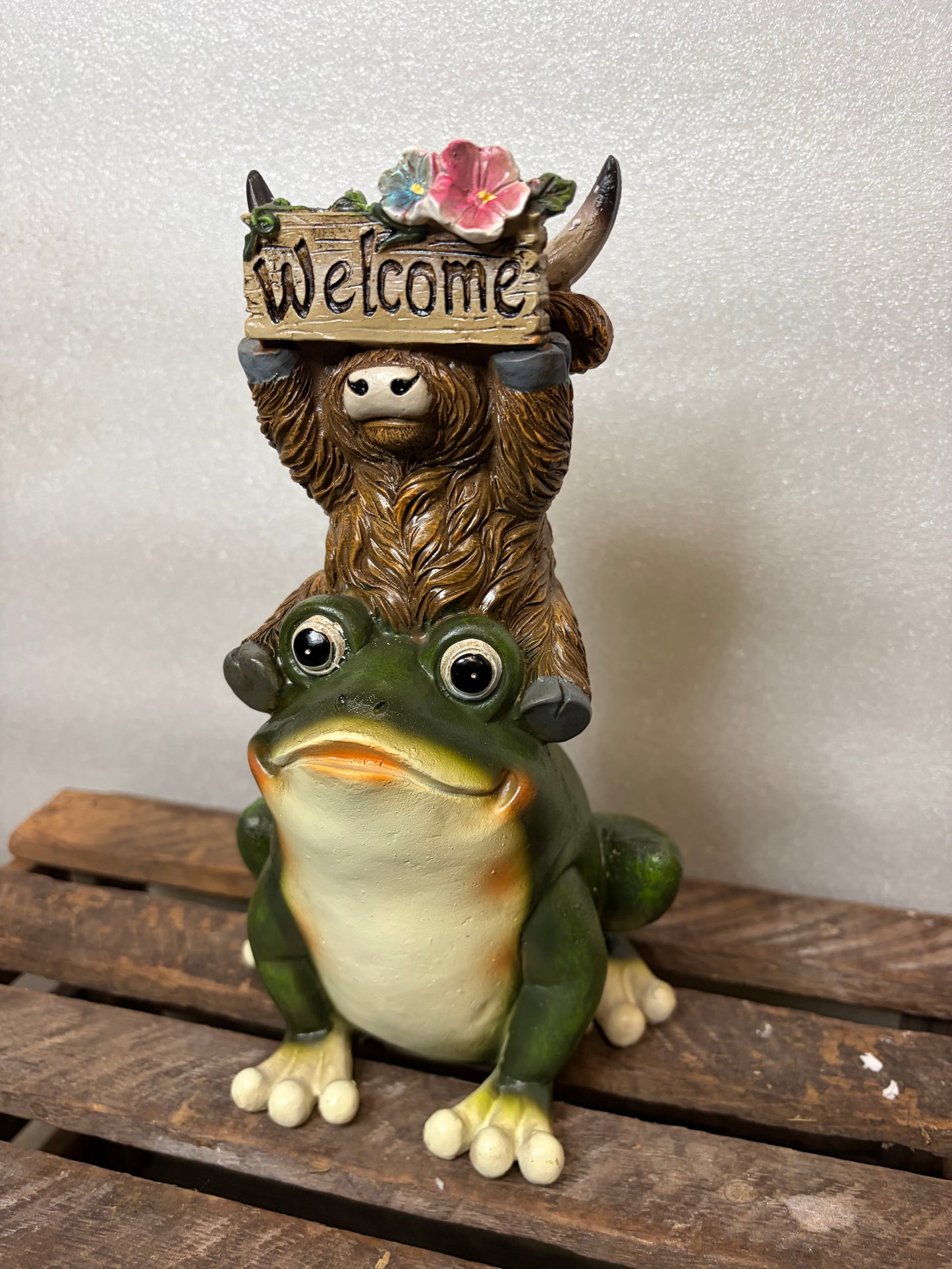 Highland Cow on a Frog