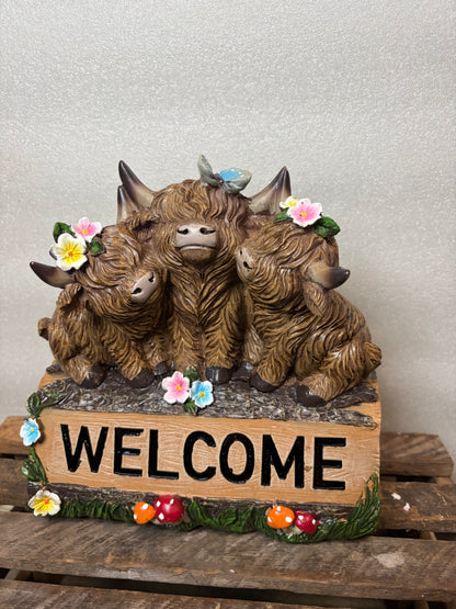Welcome Highland Cow
