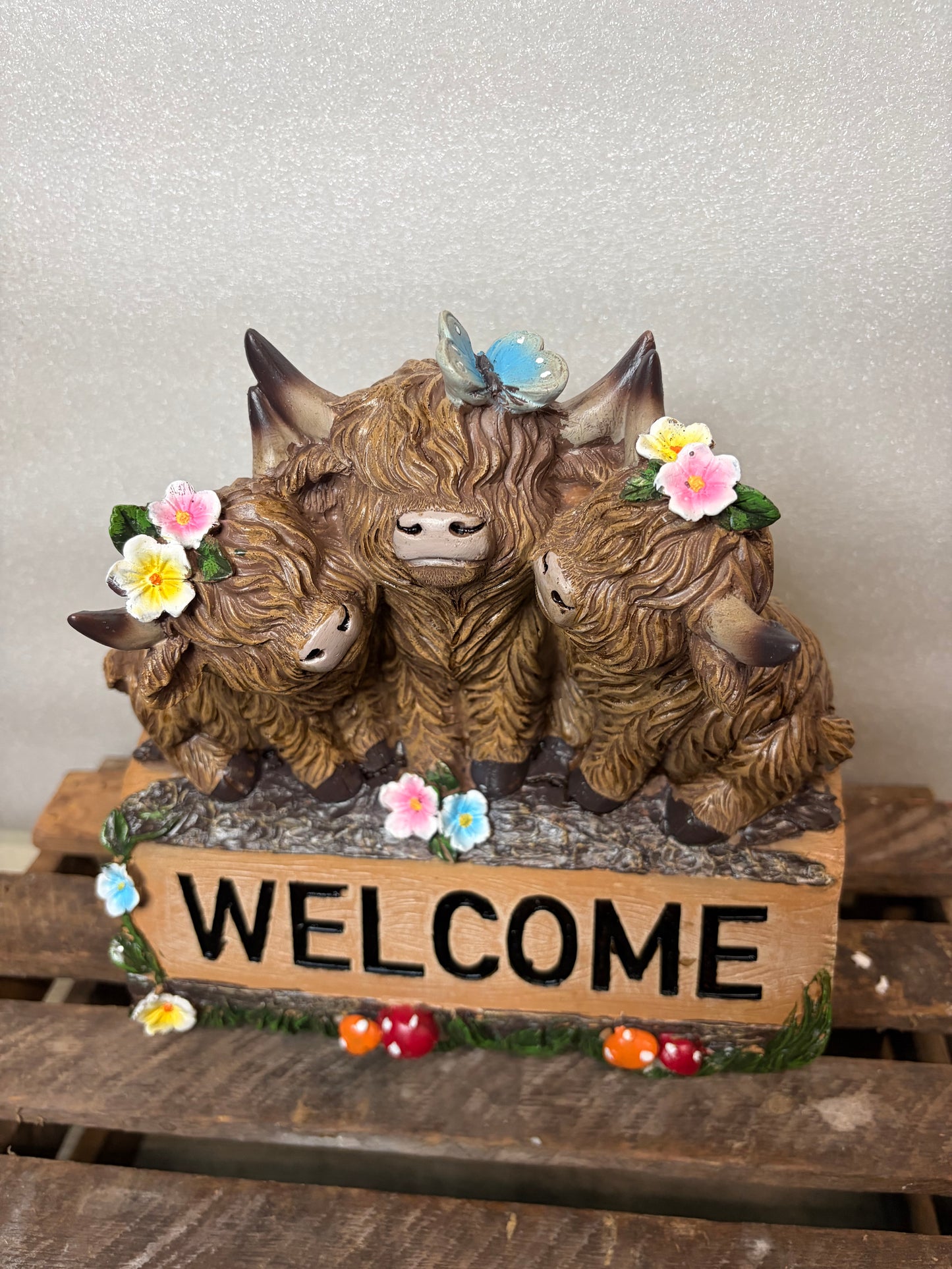 Welcome Highland Cow