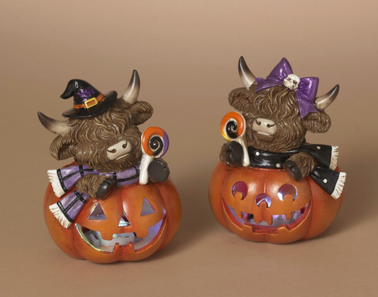 PREORDER ONLY 5.31"H B/O Lighted Resin Halloween Highland Cow w/ Time SET OF 2