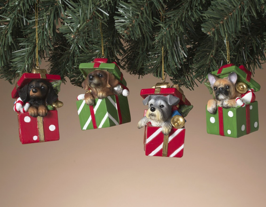 PREORDER ONLY 3"H Resin Holiday Dog in Gift Box Ornament 4 ASSORTED