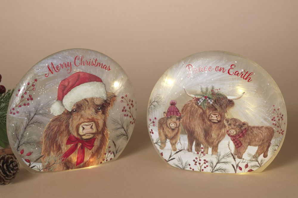 PREORDER ONLY 7.3"L B/O Lighted Frosted Glass Highland Cow Design Luminary w/ Timer SOLD INDIVIDUALLY