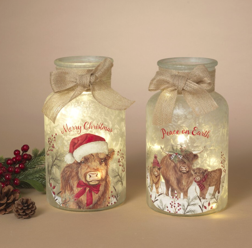 PREORDER ONLY 9.8"H B/O Lighted Frosted Glass Highland Cow Design Luminary w/ Timer SOLD INDIVIDUALLY