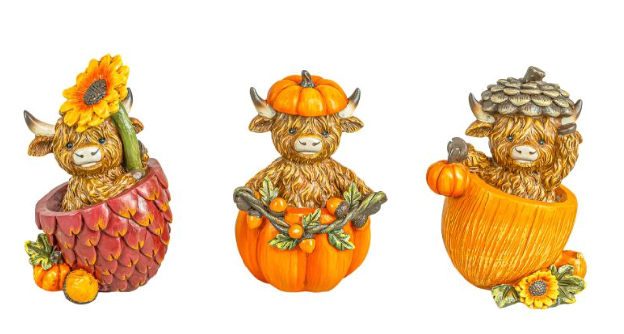 PREORDER ONLY Fruits of Harvest Highland Calf Tabletop