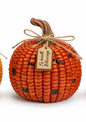 PREORDER ONLY 3 ASSORTED Sm Corn Pumpkin SOLD INDIVIDUALLY