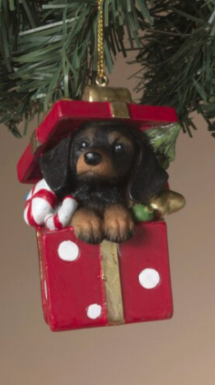 PREORDER ONLY 3"H Resin Holiday Dog in Gift Box Ornament 4 ASSORTED