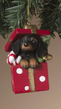 PREORDER ONLY 3"H Resin Holiday Dog in Gift Box Ornament 4 ASSORTED