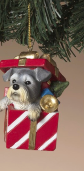 PREORDER ONLY 3"H Resin Holiday Dog in Gift Box Ornament 4 ASSORTED