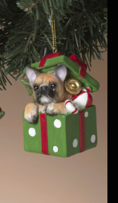PREORDER ONLY 3"H Resin Holiday Dog in Gift Box Ornament 4 ASSORTED