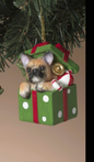 PREORDER ONLY 3"H Resin Holiday Dog in Gift Box Ornament 4 ASSORTED
