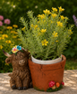 PREORDER ONLY. 6.3"L Resin Highland Cow w/ Planter SOLD INDIVIDUALLY